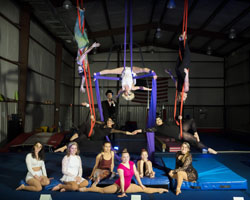 The 2nd Night Owl Circus