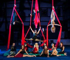 The 3rd Night Owl Circus